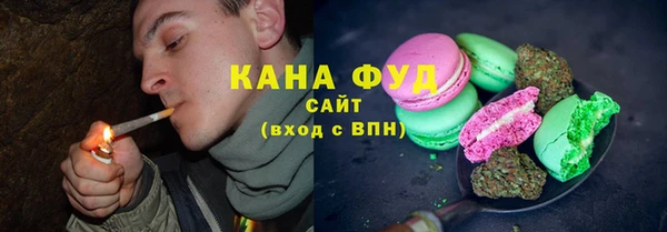 индика Алзамай