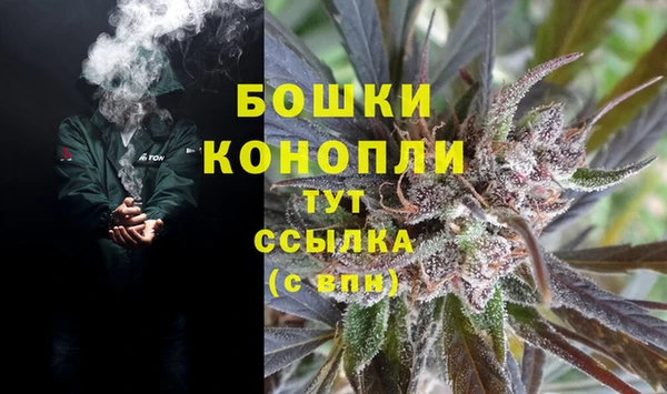 индика Алзамай