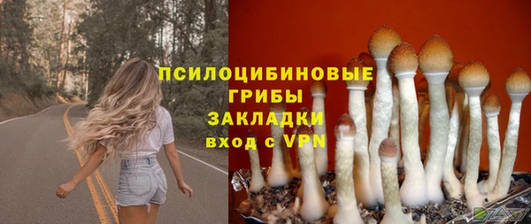 прущая мука Абдулино
